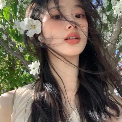 八面修罗之凤凰雪